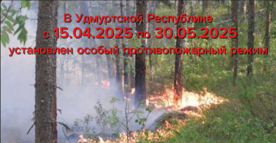 Особый противопожарный режим Особый противопожарный режим.